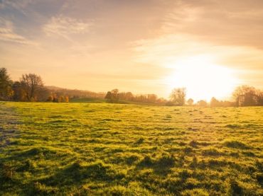 International Dawn Chorus Day