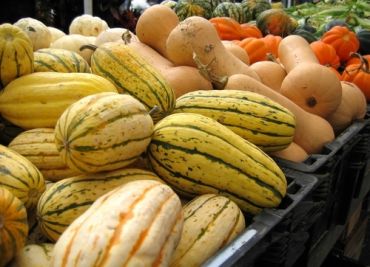 Store winter squash